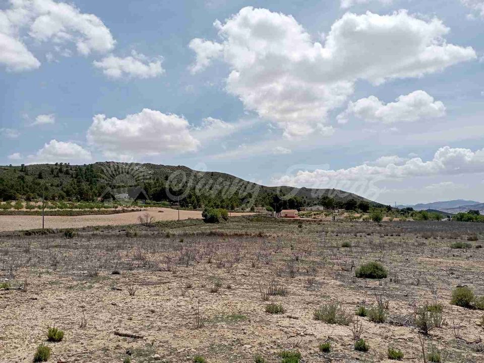 Helårsgrund i Yecla, Murcia - foto 2